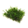 zwei Moss-Mesh  6x8 cm