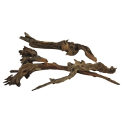 Driftwood root wood