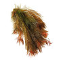 Myriophyllum mattogrossense