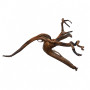 bog root